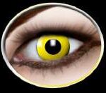 36a406b5b04c539d5894a01e1183831c_image_300x251_158