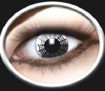 3ca6b336ee996790e8ae3624dacdd4cc_image_300x250_158