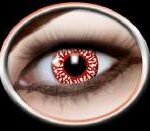 3e88d35a702b8db5fc3e3a879051ec05_image_300x250_158