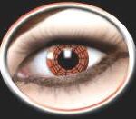 9914dd4d003b21a97de9a7fce1d5a509_image_300x250_158