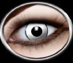 9f8eade658ae1bd88e7ce1d333abc0f4_image_300x250_158 (1)