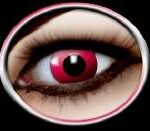 a091a05f6649a68ba2bf8d9ffb8c37b9_image_300x250_158