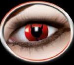 a42b1e4804f331d2106161add951f3af_image_300x251_158