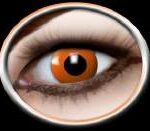 d2bb396decfa0fccde03b30d00706296_image_300x250_158