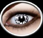 fb1f924c4e2f0793c2b3665f701a29d2_image_300x250_158